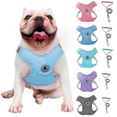 Breathable & Padded French Bulldog Harness and Leash