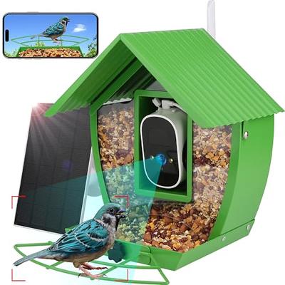 Cozion WiFi Bird Feeder with Solar Camera Identifies Bird Species Bird  Feeder Wild Bird Feeder Station Wild Bird Feeder with Camera Auto Recording  App Notification 32G : : Garden