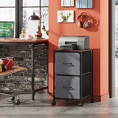 2 Drawer Mobile File Cabinet with Lock, Wood Modern Filing Cabinet