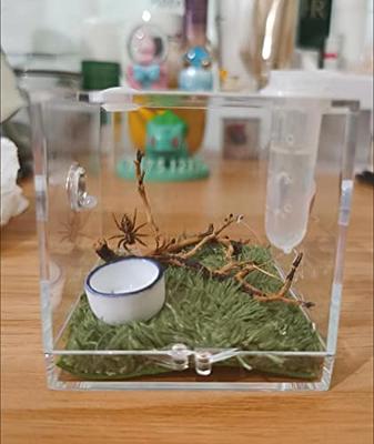  Spider Terrarium, Acrylic Reptile Breeding Box