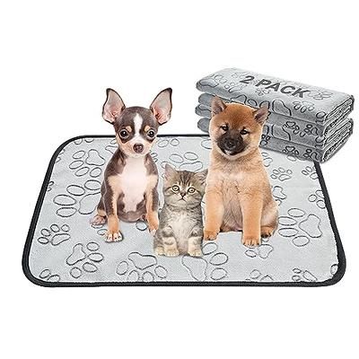 LOOBANI 2 Packs Extra Large Reusable Dog Mat for Floor, Non-Slip Washable  Pee Pads for Dogs, Fast Absorbent Pet Whelping Pads, Puppy Playpen Mat for