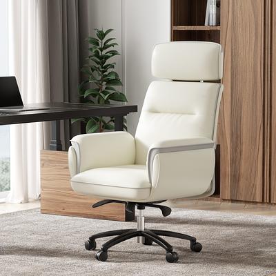 Mesh Office Chair Eureka Ergonomic