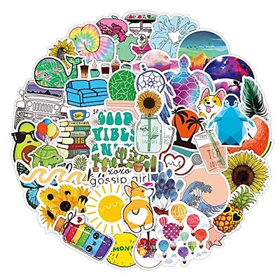 100 PCS Water Bottle Stickers for Kids Teens Girls Adults, Aesthetic Cute  Vinyl Waterproof Vsco Cool Stickers, Laptop Scrapbook Skateboard Computer