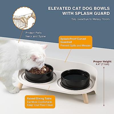 Double Dog Bowl - Double Stainless Steel Dog and Cat Food and Water Bowl -  Raised Puppy Food and Water Bowls - Non-Slip Pet Bowl for Dog and Cat  (Blue) 