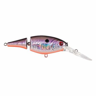 Berkley Flicker Shad Fishing Lure, Red Tiger, 1/8 oz 