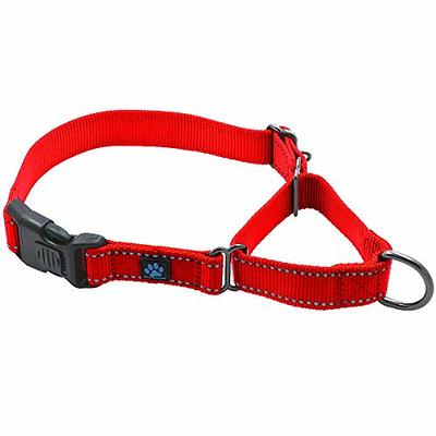 Boston RED SOX Reversible MLB Dog Collar, Large. Premium Home & Away  Two-Sided Pet Collar Adjustable with Metal Buckle. Your Favorite MLB  Baseball