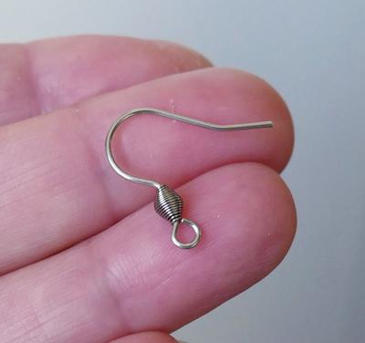 20x Stainless Steel Earring Wire Hooks, Silver Tone Hypoallergenic Spring  Wires, French Ear Fish Hooks F244 - Yahoo Shopping