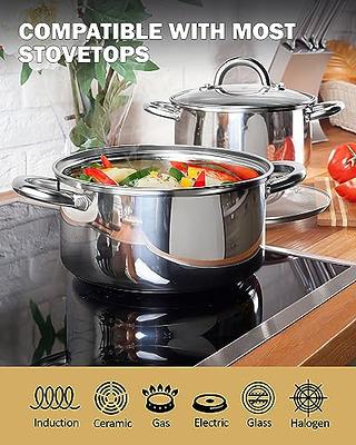 Cook N Home Non-Stick Aluminum Stockpot Cooking Pot with Glass Lid