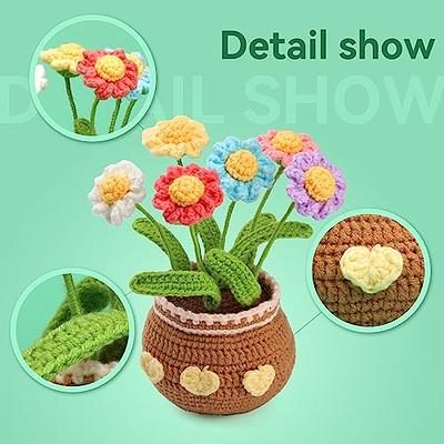 Beginner Crochet Kit Daisy Bouquet DIY Flower Bouquet Crochet Kit Christmas  Gift Crochet Kit Beginner With Yarn Crochet Daisy Pattern 