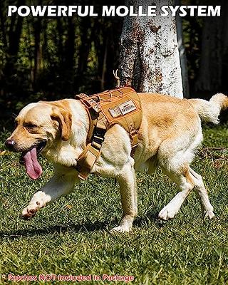 Heavy-Duty Dog Harness