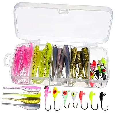 TRUSCEND 203pcs Fishing Accessories Kit, Premium Fishing Tackle Box  Including Fishing Hooks/Fishing Leader/Swivels Snaps/Weights