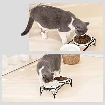 Dog and Cat Bowls Elevated Set - Acrylic Feeder Stand with 2 Set Removable  Stainless Steel and Glass Bowls Food and Water Raised Dishes for Small