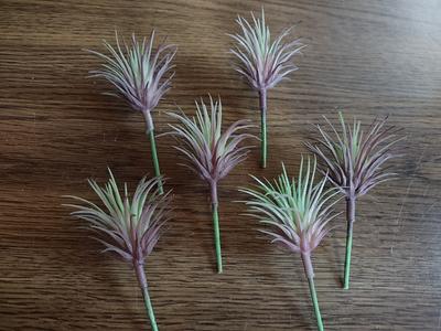 Buy Artificial Mini Tillandsia