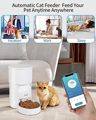 QLIFE Automatic Cat Dog Feeder: Dry Food Dispenser for Dog, Auto