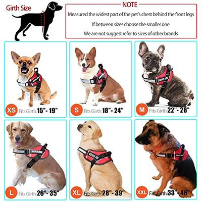 Dog Vest Harness and Patches Set, Animire in Training Service Dog Harness  with 8 Dog Patches, Reflective Dog Vest with Handle for Small, Medium,  Large, and Extra-Large Dogs - Yahoo Shopping