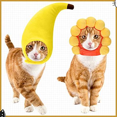 Cosplay Pet Hat, Comfortable Yellow Duck Shape Pet Hat Headwear Adorable  Pet Funny Hat Soft Plush Headdress Cartoon Pet Cap Parties Festivals Gift  for