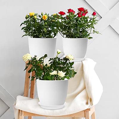 Whonline Plastic Flower Pots, 6 Pack, 7 Inch Gray Pots for Planting with  Drainage Holes and Saucers, Decorative Flower Pots for Indoor Plants  Outdoor
