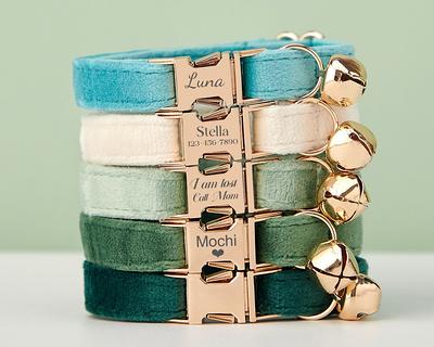 PETDURO Personalized Cat Collar Rose Gold Buckle Cute Mint Blue Velvet