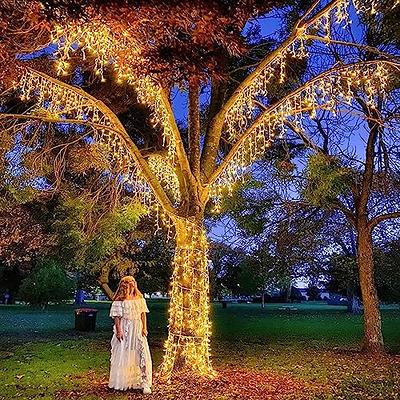 DAYBETTER Solar String Lights Outdoor, 2 Pack 50Ft Waterproof Solar Fairy  Lights, 8 Modes Copper Wire Twinkle Lights r for Patio Tree Christmas