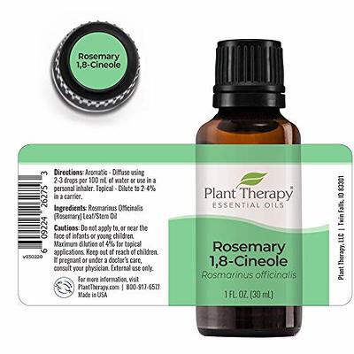 Plant Therapy Pumpkin Spice Fall Essential Oil Blend 10 ml (1/3 oz) 100% Pure, Undiluted, Therapeutic Grade