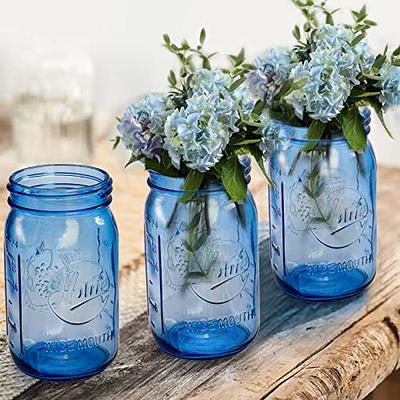 Six Pack Glass Jars