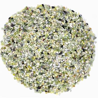 Taleasy Natural Green Preserved Reindeer Moss (18 oz) - No Smell & No Color  Loss - Bulk Forest Moss DIY Decor for Potted Plants, Terrarium, Fairy