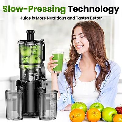 Hurom H200 Easy Clean Self-Feeding Slow Juicer