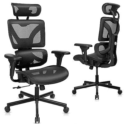 Ergonomic Office Chair Desk Chair High Back Computer Chair with Armrest and  Lumbar Support, 300lb, Black 