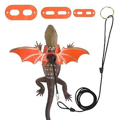  3 Packs Bearded Dragon Harness and Leash Adjustable(S,M,L) -  Soft Leather Reptile Lizard Leash for Amphibians and Other Small Pet  Animals : Pet Supplies