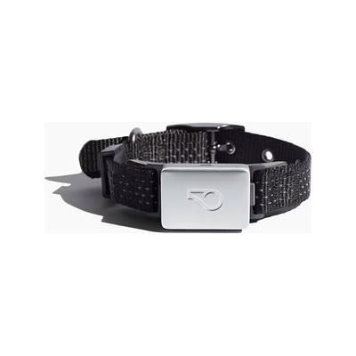 Whistle sales cat collar