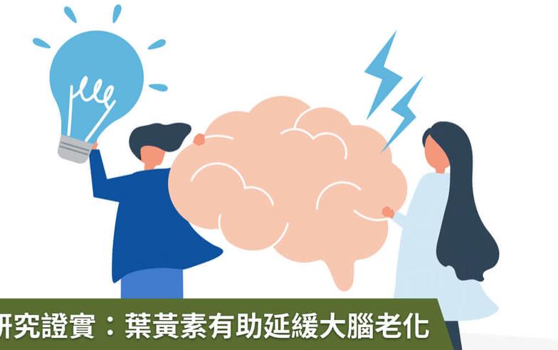 葉黃素不只能保護眼睛！美研究證實：還可延緩大腦老化