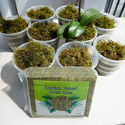 REFFU Natural Sphagnum Moss, Premium Dried Forest Moss for Potted Plants, Potting Mix, Carnivorous Plants Moss for Orchid Succulent Garden and