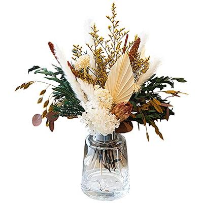 Natural - Dried - Flowers Brazilian Small Star Daisy Dried Decorative Mini Chamomile Bouquet for Wedding Floral Arrangements Home Decorations