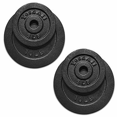 Powergainz 2-Inch Cast Iron Plate Weight Plate Pair - 10lbs