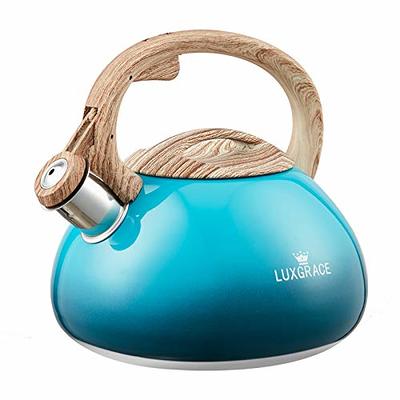 Caraway Whistling Tea Kettle Navy