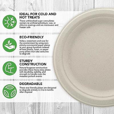 I00000 Heavy Duty 100% Compostable 10 Inch Paper Plates, 100 Pack