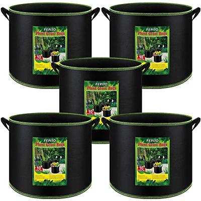 HYDGOOHO 20 Gallon Grow Bags Fabric Pots with Handles for Potato Strawberry  Plants Vegetables Black Plant Container Heavy Duty Aeration Fabric Pots  Plants Growing Bags with Handles(20 Gallon-5 Pack) - Yahoo Shopping