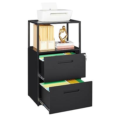 URTR Black Folding File Cabinet with 2 Adjustable Shelves, Metal Cabinet  with 2-Doors and Lock for Office, Garage, Home T-02024-7 - The Home Depot