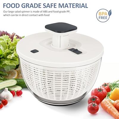 Joined Large Pump Salad Spinner with Drain, Bowl, and Colander - Quick and  Easy Multi-Use Lettuce Spinner, Vegetable Dryer, Fruit Washer, Pasta and