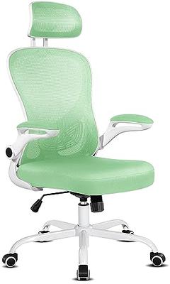 Ergonomic Executive Chair with Headrest