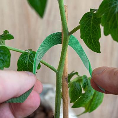 Green Tie Tape for Plants. Plant Tie.