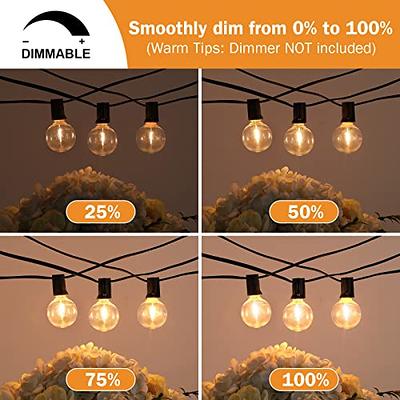 DAYBETTER Outdoor String Lights,100ft,with 50 G40 Edison Vintage Bulbs,Waterproof for Patio Garden Gazebo Bistro Cafe Backyard