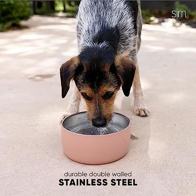 Podinor Stainless Steel Dog Bowls, Food and Water Non Slip Anti Skid  Stackable Pet Puppy Dishes for Small, Medium and Large Dogs (2 Pack)