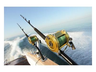 Premium Giclee Print: Big Game Fishing Reels & Rods: 30x40in - Yahoo  Shopping