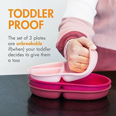 ANARI Baby Led Weaning Supplies, Divided Silicone Suction Toddler Plates  and Bowls Set, First Stage Self Feeding Baby Utensils