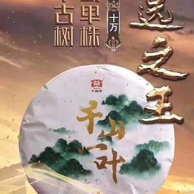 上圓普洱茶~大益下關普洱茶專賣