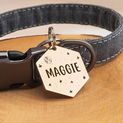 Cat Collars : IDPET, Personalised Pet Products with Personality