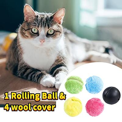 Active Rolling Ball for Dogs,Automatic Roller Ball Magic Ball Funny Dog Cat  Interactive Toys Plush Electric Roller Balls,with 1 Active Rolling Ball & 4  Plush Ball Sets (1 Set) - Yahoo Shopping