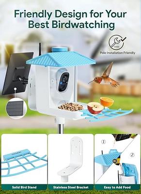 Smart Bird Feeder Camera, Hummingbird Watching Camera with Motion Detection  & Auto Capture Bird, 100° Wide Angle & Waterproof 1080P HD Night Vision