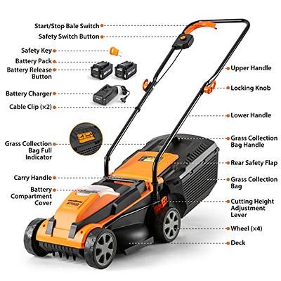WORX 13 in. 40V Cordless Electric Push Lawn Mower at Tractor